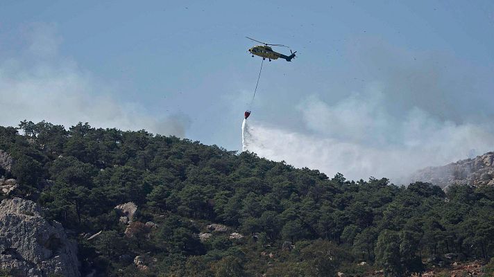 Telediario 1 - Las lluvias de la primavera crearon más combustible para los incendios del verano