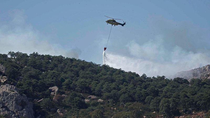 Las lluvias de la primavera crearon más combustible para los incendios - Telediario 1 | Ver