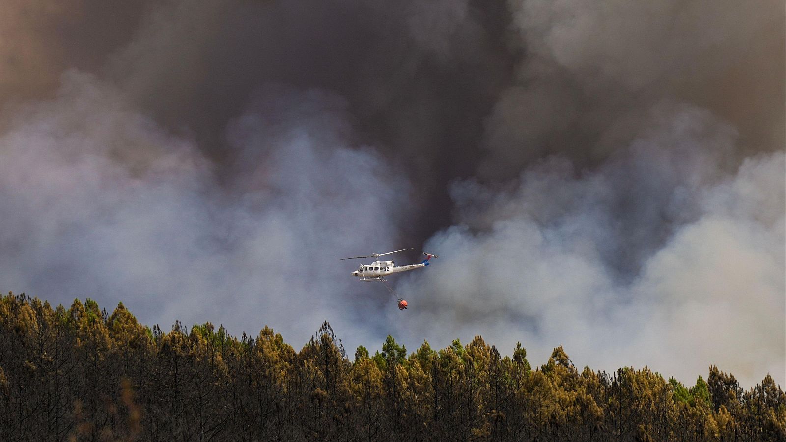 Galicia y Castilla y León, las comunidades más golpeadas por el fuego - Telediario 1 | Ver
