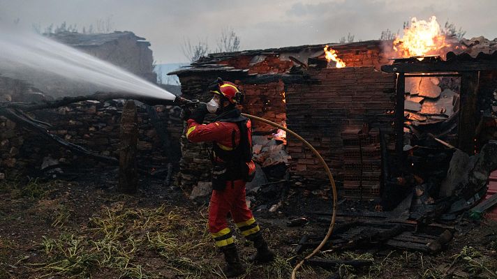 Diario 24 - Los incendios avanzan sin control en Castilla y León