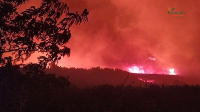 El fuego de Calera y Chozas (Toledo) se complica y pasa a nivel 2