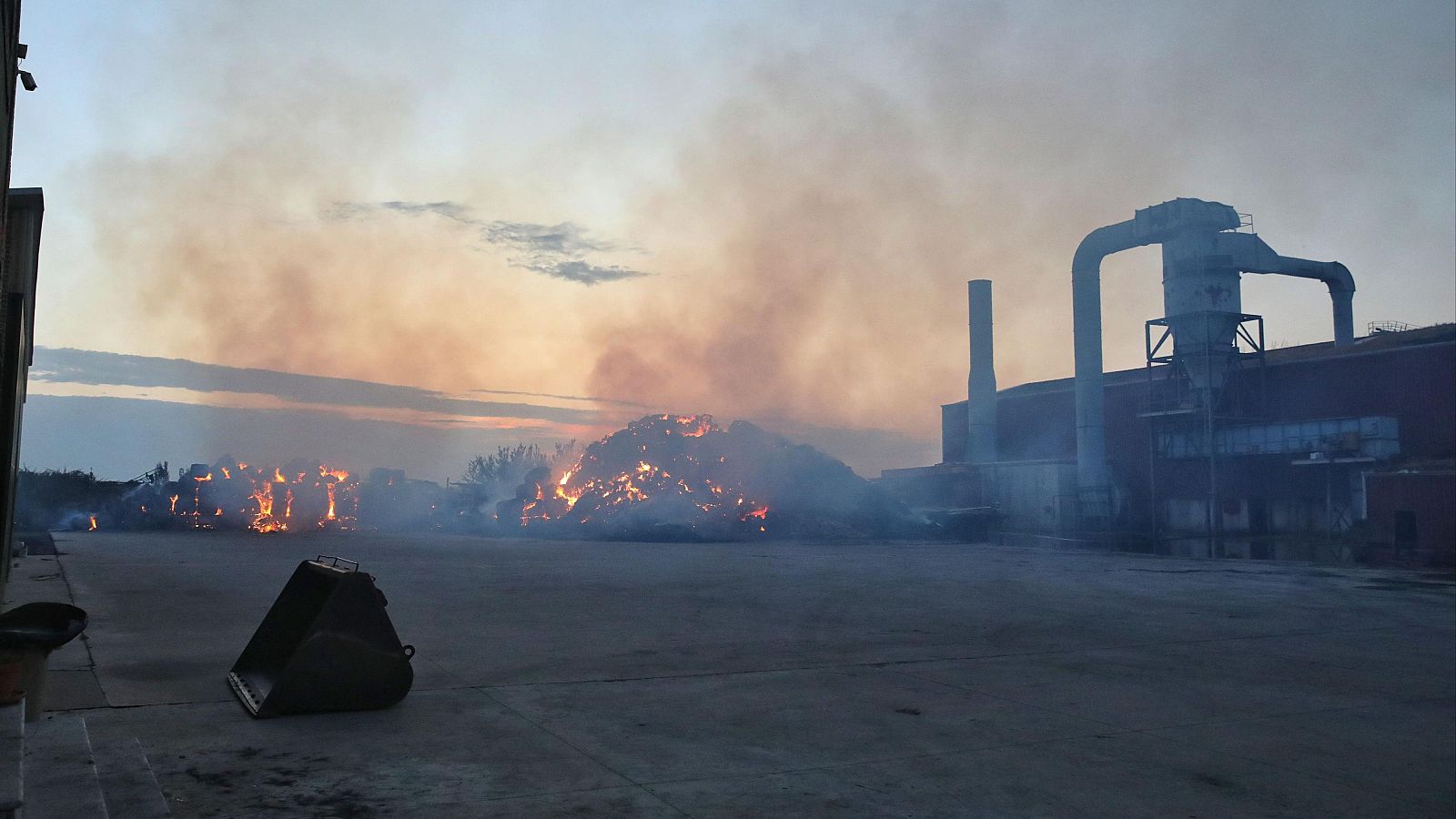 Diario 24 - 13/08/25 - Diario 24 | Ver