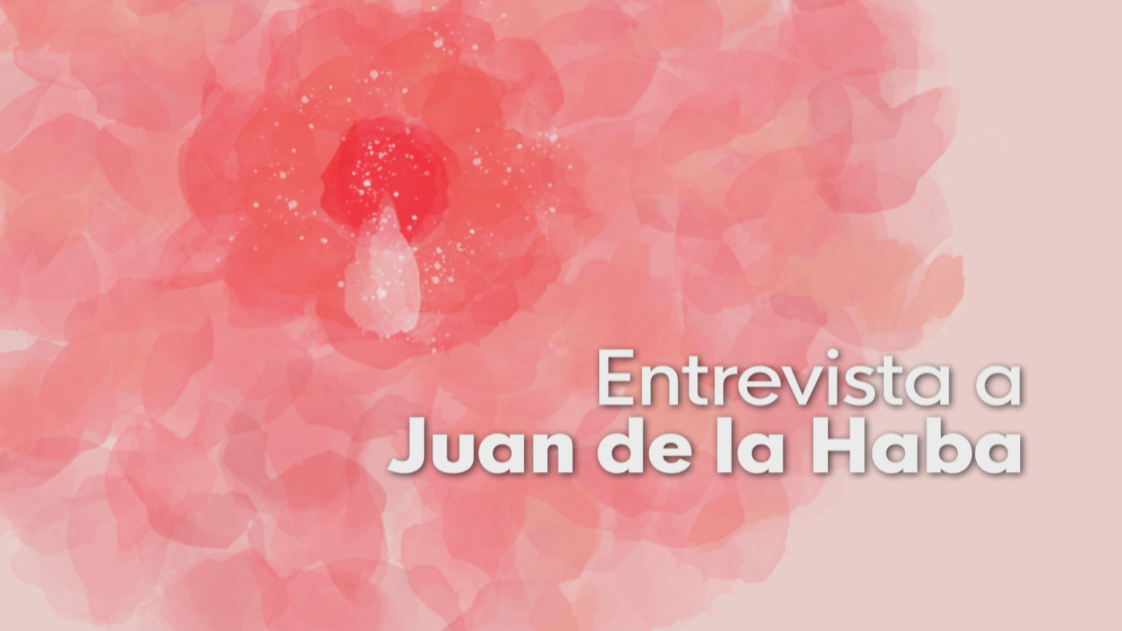 Entrevista a Juan de la Haba - Noticias Andalucía | Ver