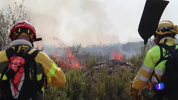 Noticias de Castilla y León - Castilla y León en 1' - 13/08/25