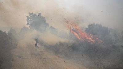 Los incendios en Ourense calcinan m�s de 7.000 hect�reas | Ver