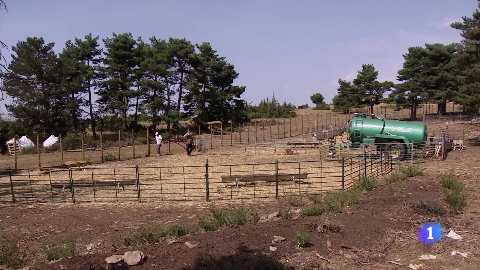 Informativo Telerioja 2 - 13-08-2025 - Informativo Telerioja | Ver