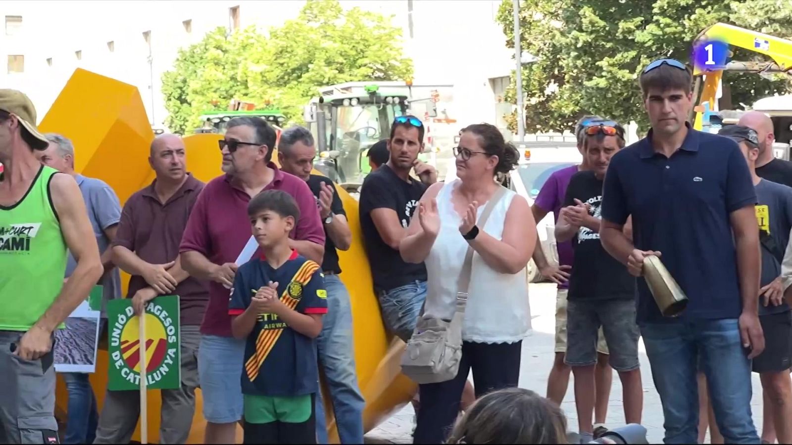 Pagesos de Girona reclamen caçar tot l'any per frenar fauna - L'Informatiu | Veure