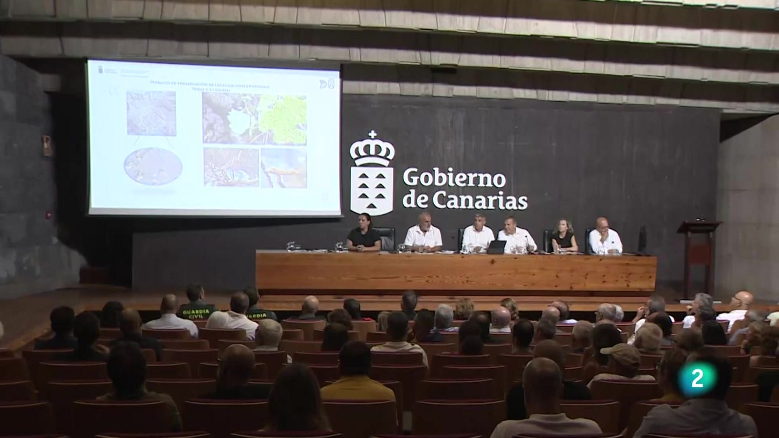 Telecanarias Tarde - 13/08/2025 | Ver