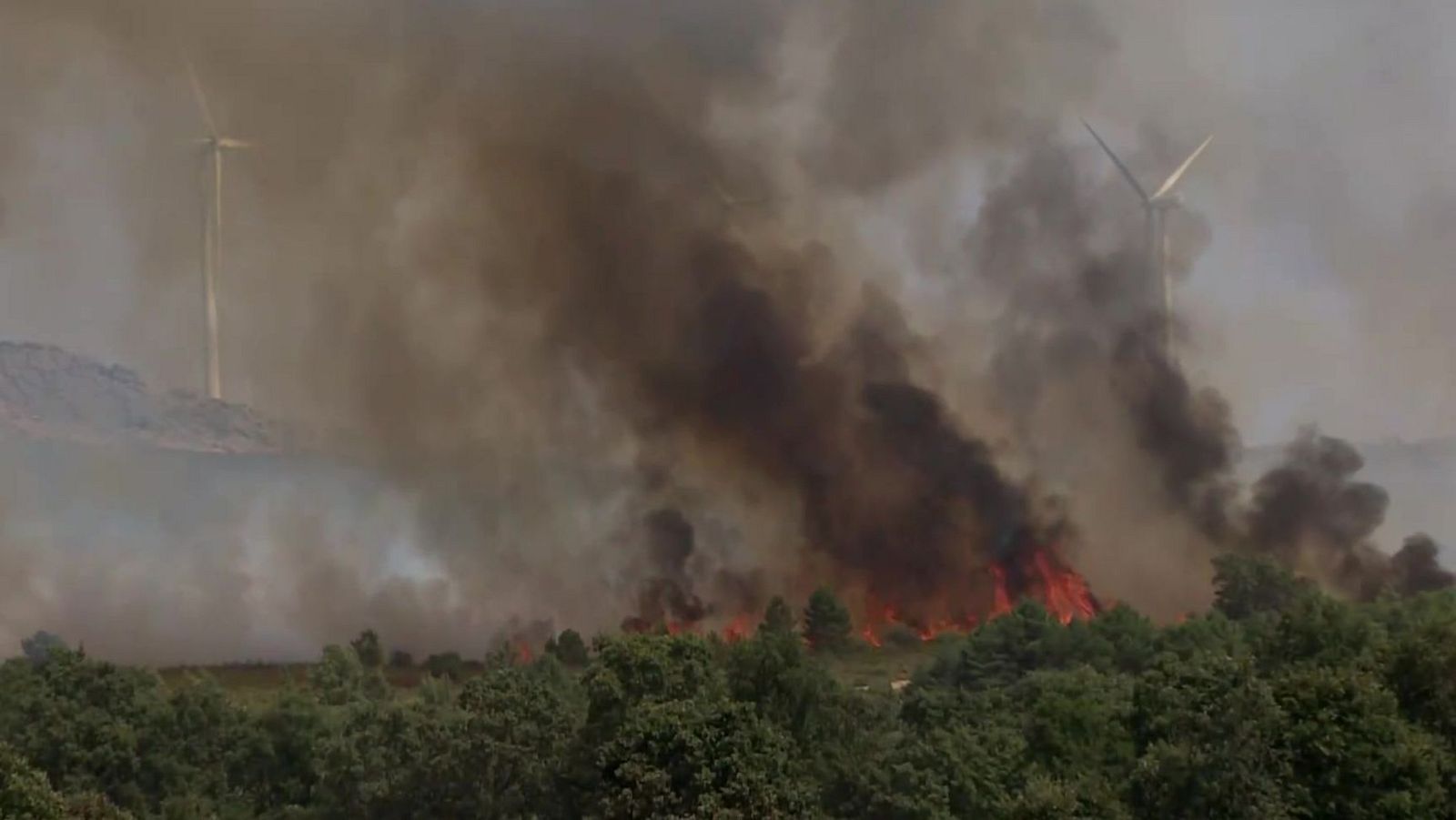 Informativo 24 horas - 20h - 13/08/25 - Informativo 24h | Ver