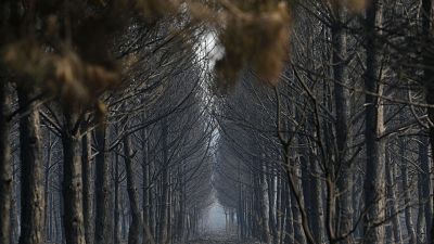 Sube al nivel 2 el incendio de Anllares del Sil, en Le�n | Ver