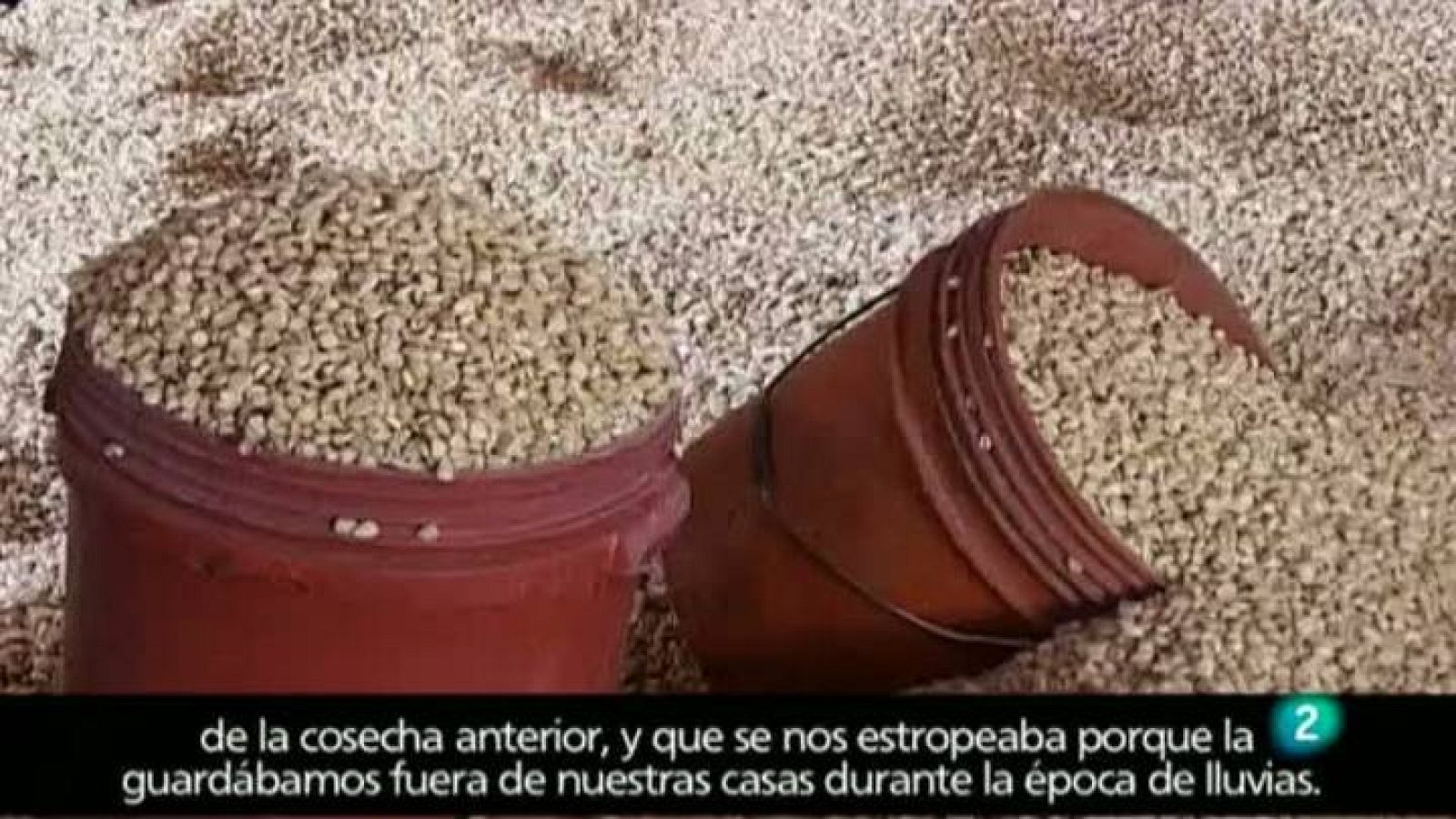 Para Todos la 2 - ONG - Cooperación internacional