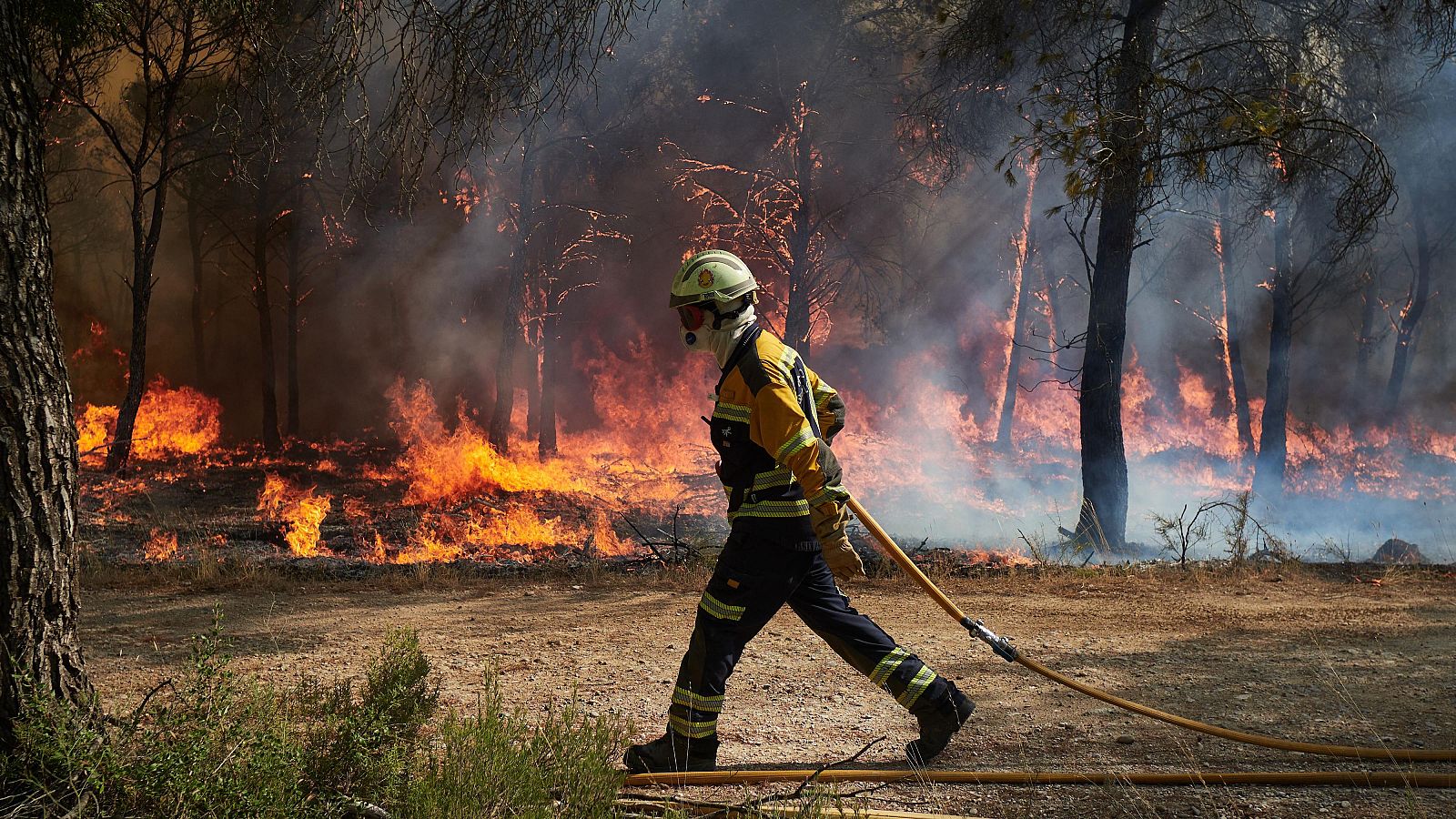 Eugenio Ribón, abogado: "El Código Penal castiga con hasta 20 años los incendios dolosos que pongan en riesgo vidas" | Ver