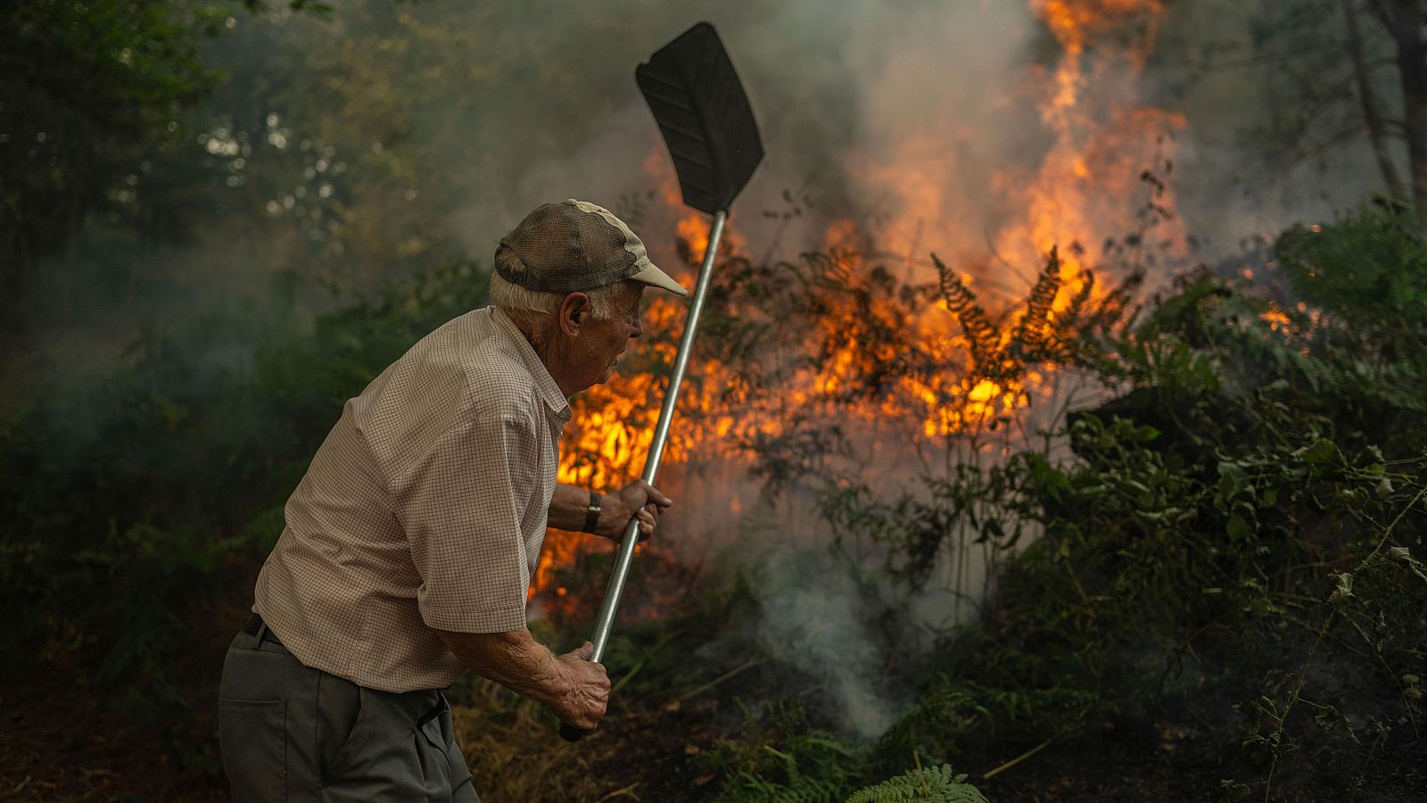 Diario 24 - 14/08/25 - Diario 24 | Ver