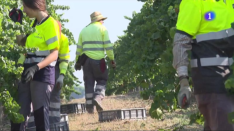 L'autòpsia constata la mort per calor del temporer del Segrià