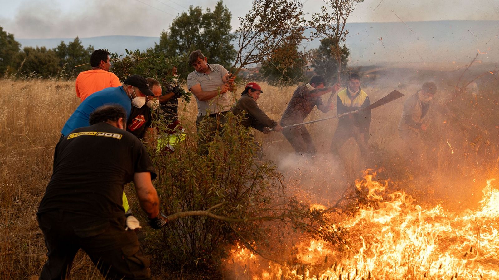 Telediario - 15 horas - 14/08/25 - Lengua de signos - Telediario en lengua de signos | Ver