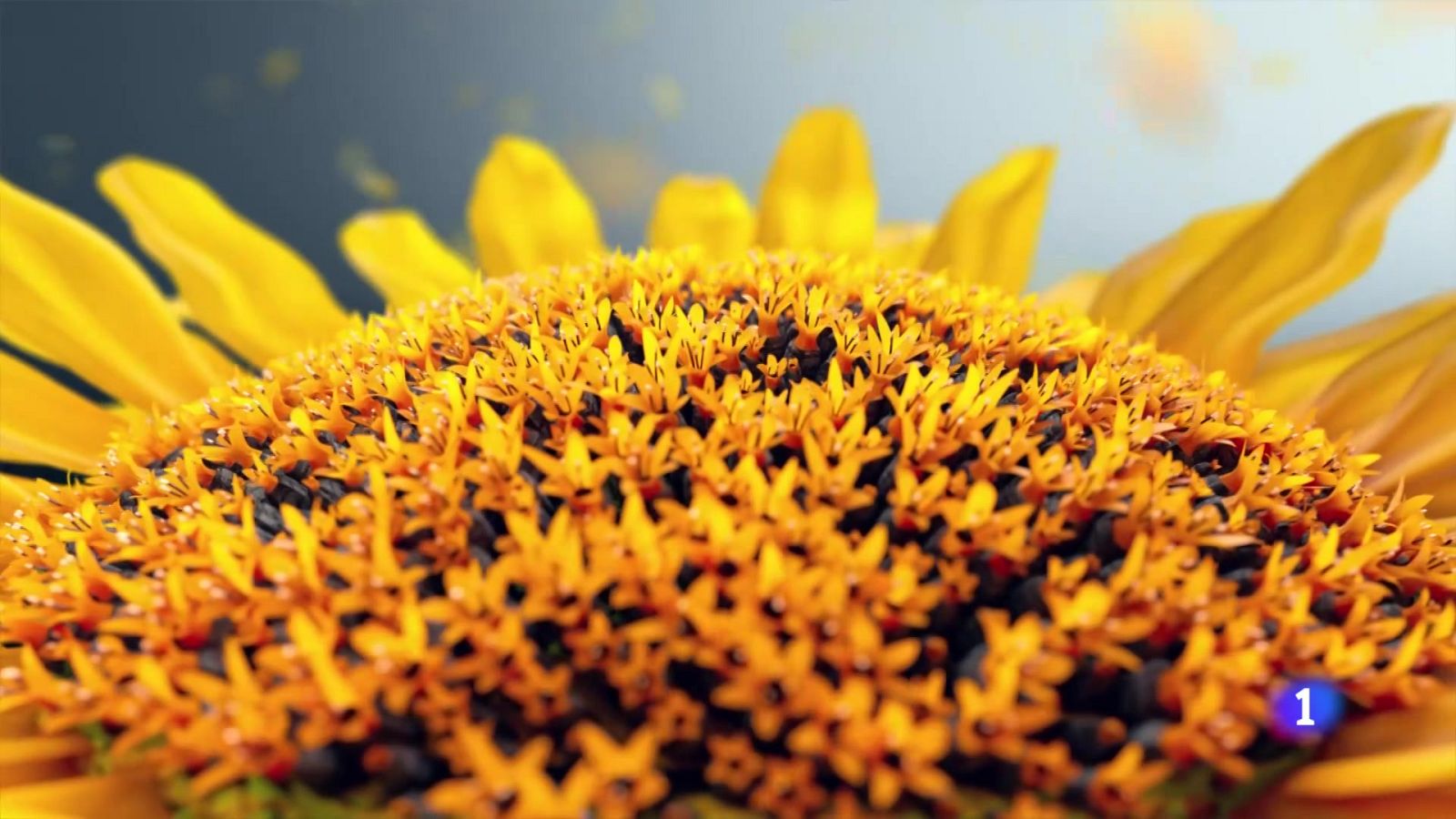 El tiempo en Andalucía - 14/08/2025 | Ver