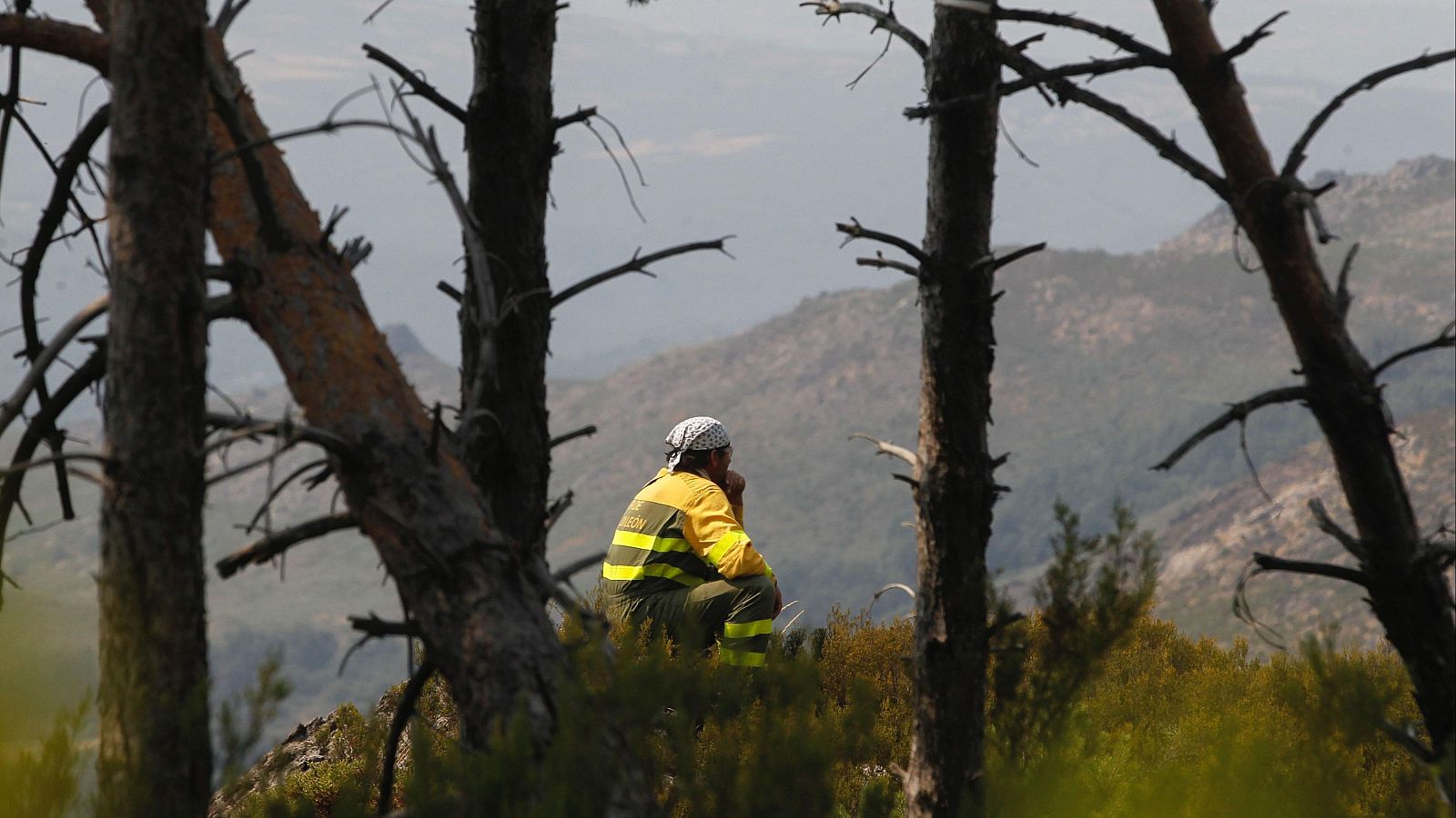 Ourense, asediada por los incendios | Ver