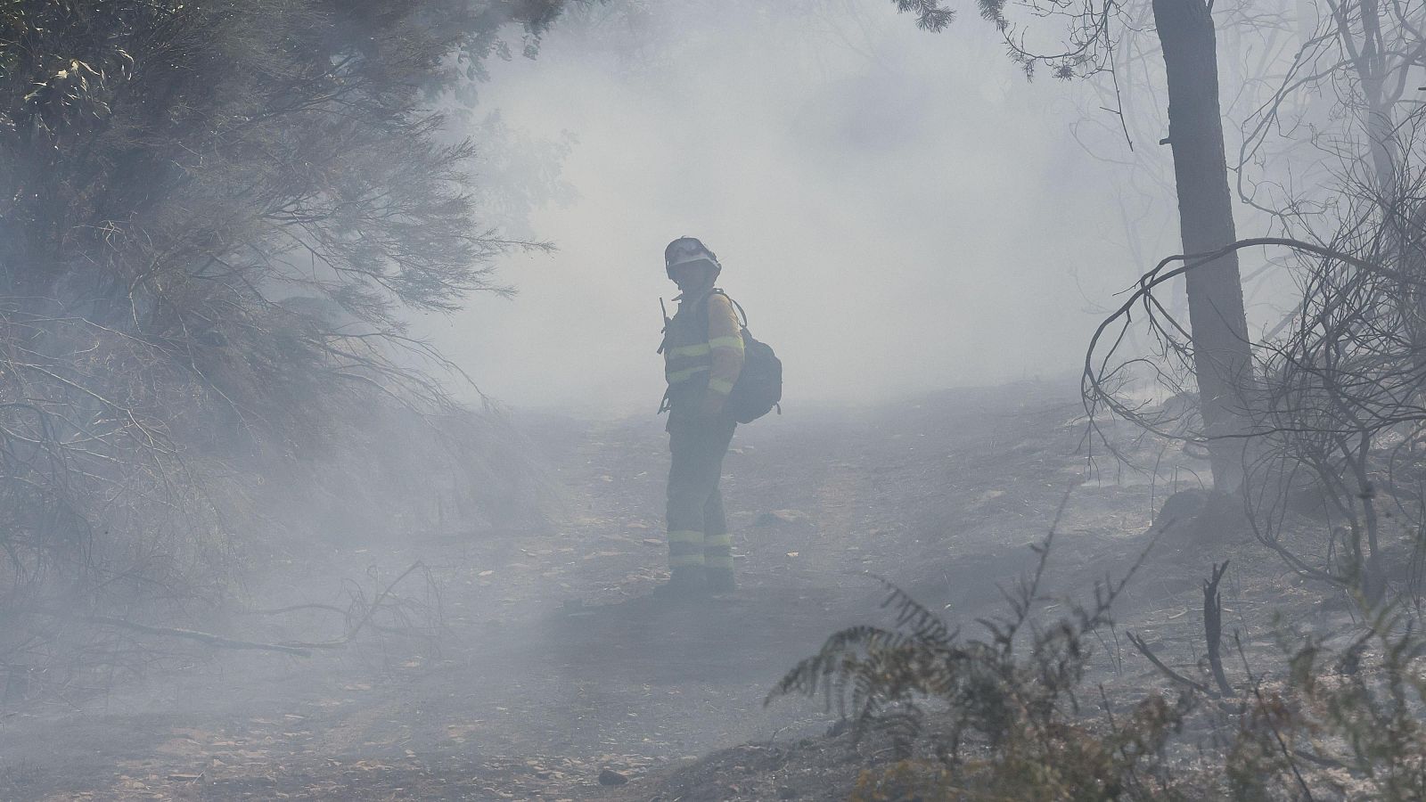 Los profesionales que combaten los incendios denuncian la falta de medios - Telediario 1 | Ver