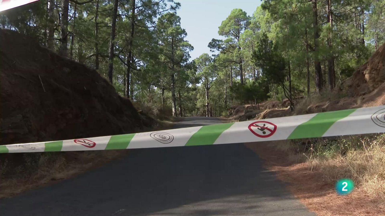 Telecanarias Tarde - 14/08/2025 | Ver