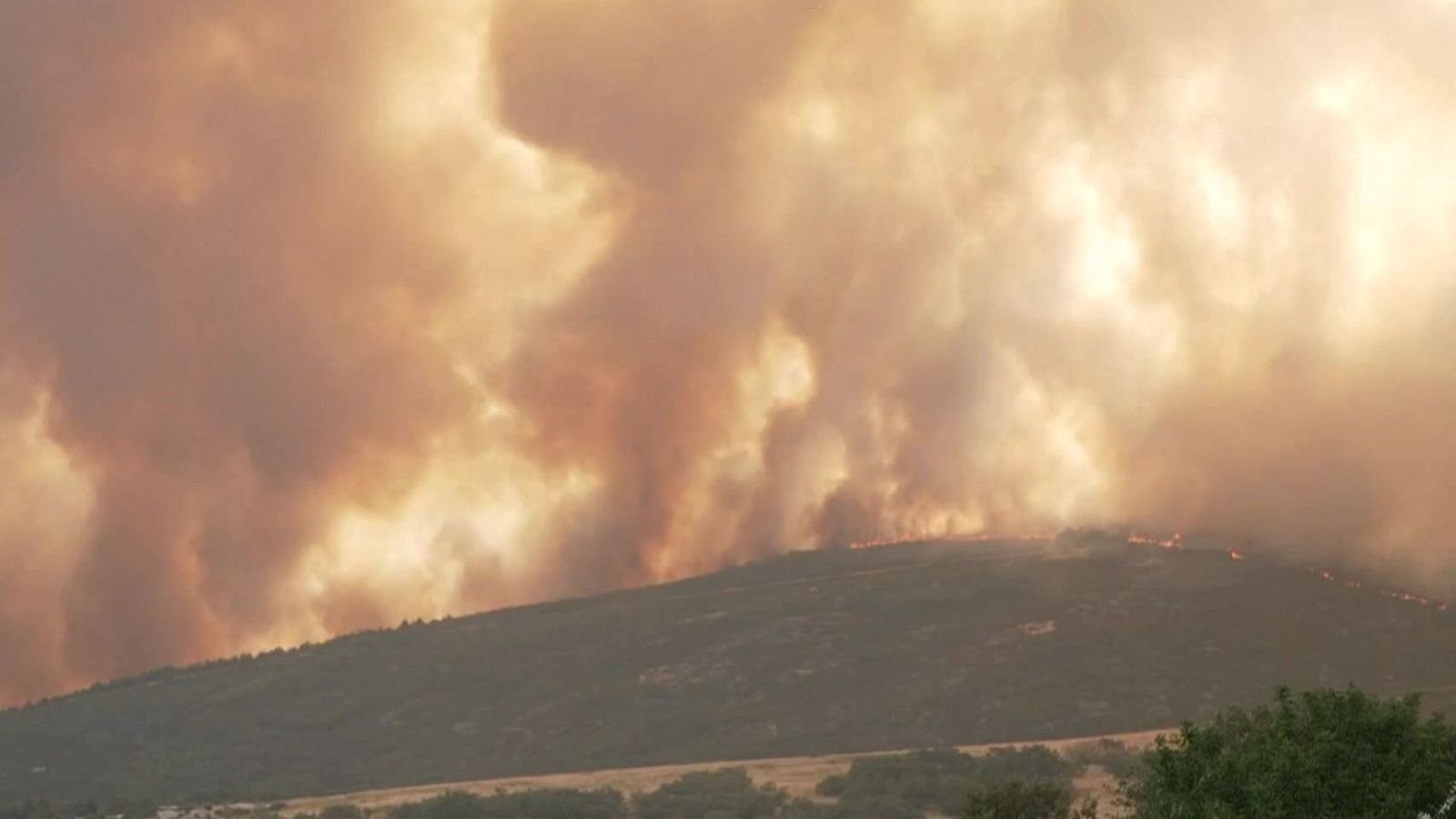 Informativo 24 horas - 20h - 14/08/25 - Informativo 24h | Ver