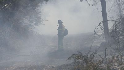 Varios incendios escalan a nivel 2 de gravedad en Le�n y Salamanca | Ver