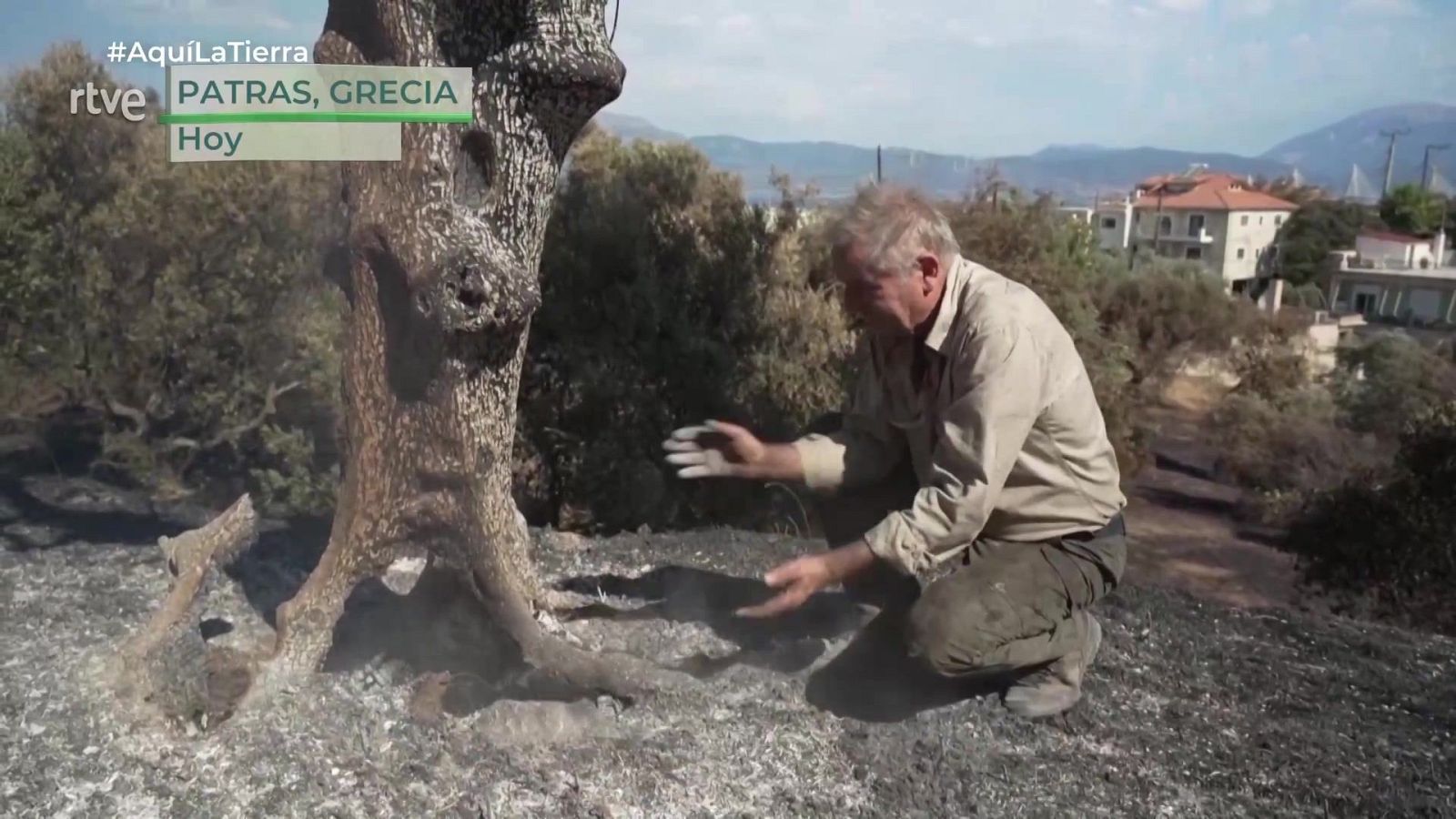 Aquí la Tierra - 14/08/25 - Aquí la Tierra | Ver