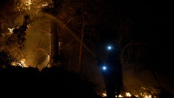 Telediario en lengua de signos - Telediario - 8 horas - 15/08/25 - Lengua de signos