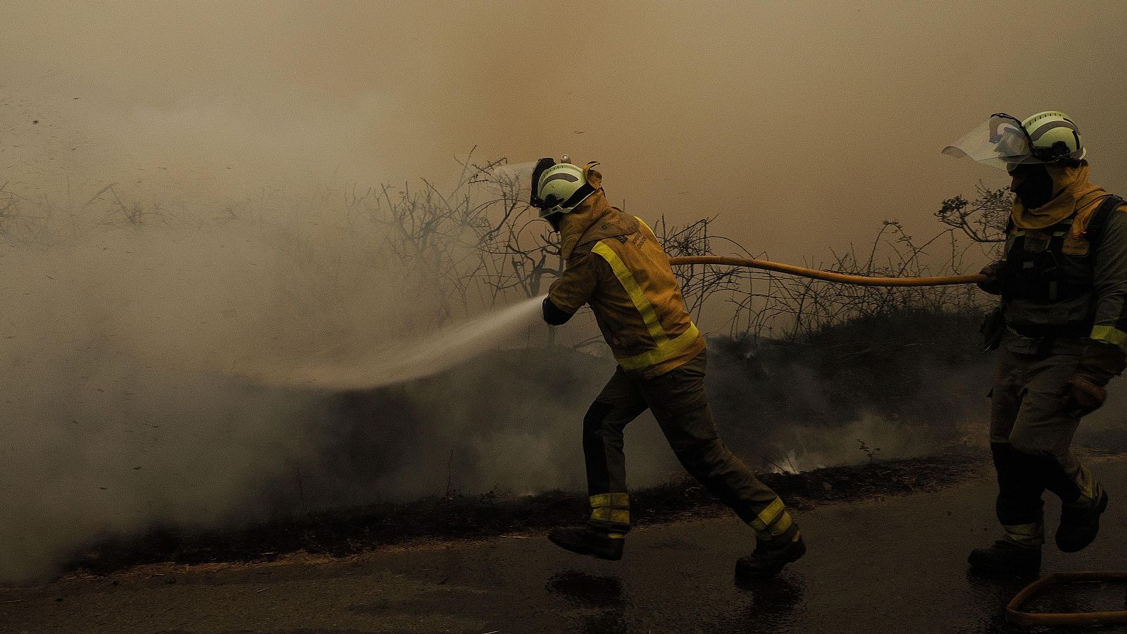 Aumenta la masa forestal en España, pero disminuye el gasto en prevención - Telediario 1 | Ver