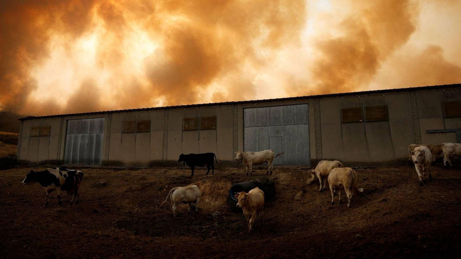 Telediario - 21 horas - 15/08/25 - Lengua de signos - Telediario en lengua de signos | Ver