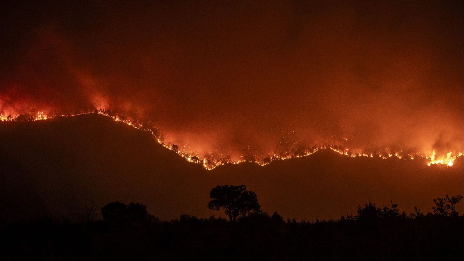 Informe semanal - 16/08/25 - Informe Semanal | Ver