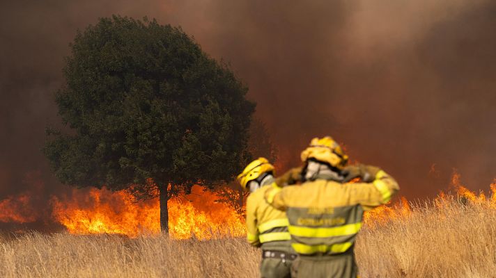 Telediario Matinal - Telediario Matinal en 4' - 17/08/2025