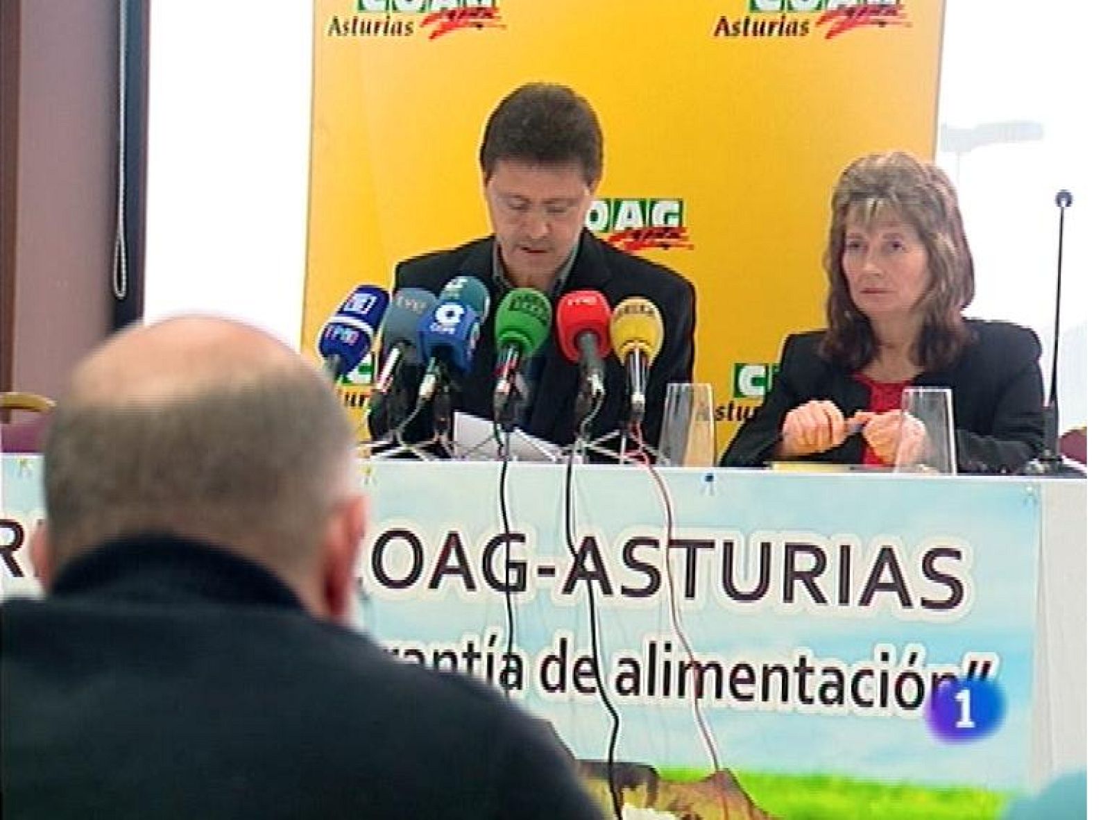 Panorama Regional 2 - 18/01/13 | Ver