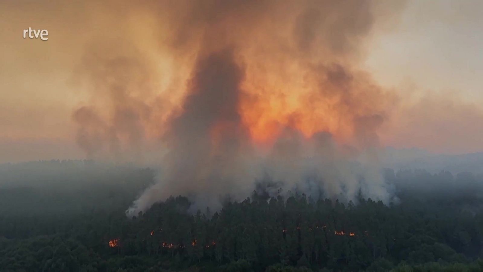 Aquí la Tierra - 17/08/25 - Aquí la Tierra | Ver