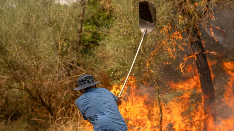 En Ourense es difícil escapar de la devastación de los incendios