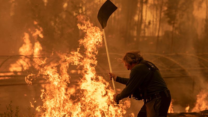 Los incendios asolan Galicia, Castilla y León y Extremadura - Telediario 1 | Ver