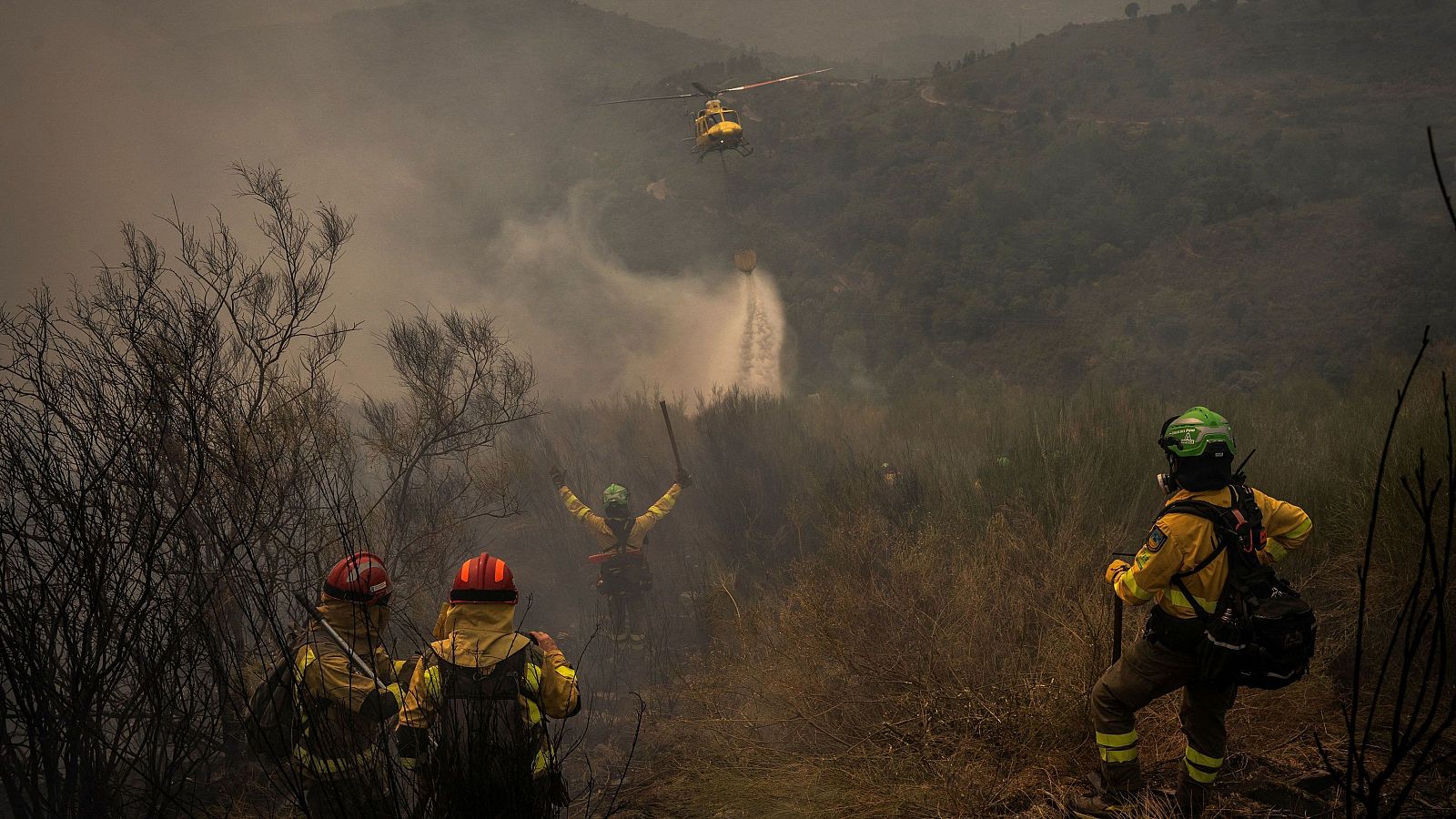 El fuego arrasa 62.000 hectáreas en Galicia - Telediario 1 | Ver