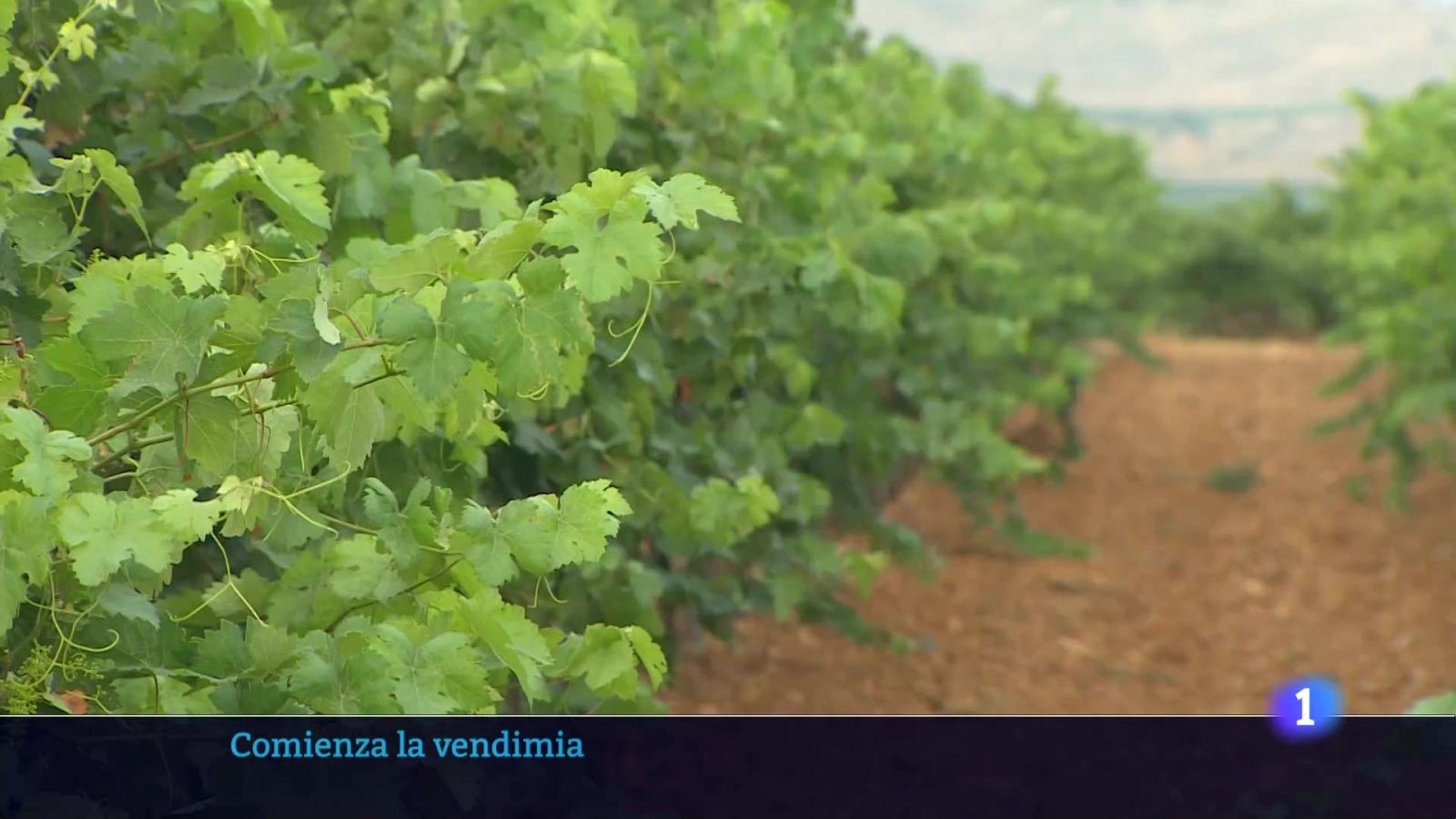 Informativo Telerioja 2 - 18-08-2025 - Informativo Telerioja | Ver