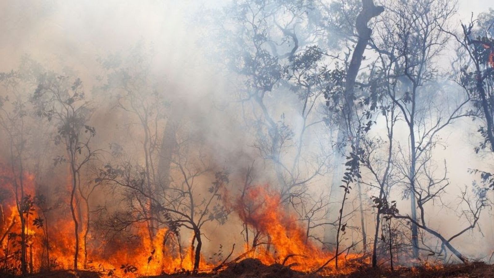 Telediario 2 en cuatro minutos -18/08/25- RTVE.es | Ver