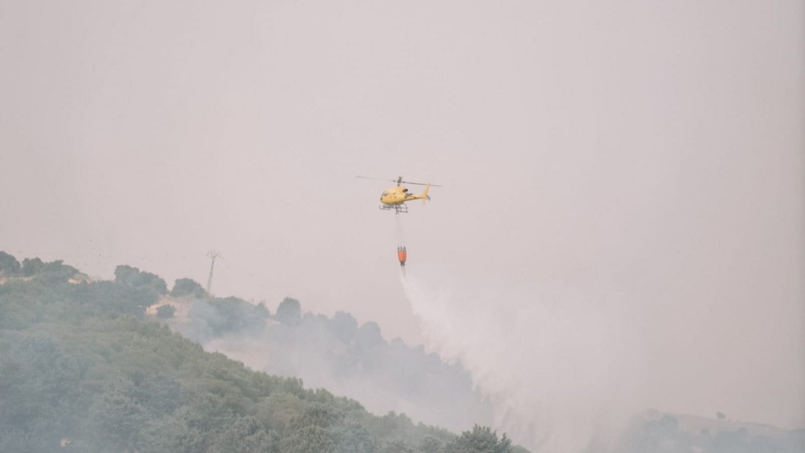 El fuego avanza en Colmenar Viejo sin afectar a urbanizaciones ni al AVE - La noche en 24h | Ver