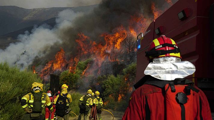 Telediario en lengua de signos - Telediario - 8 horas - 19/08/25 - Lengua de signos