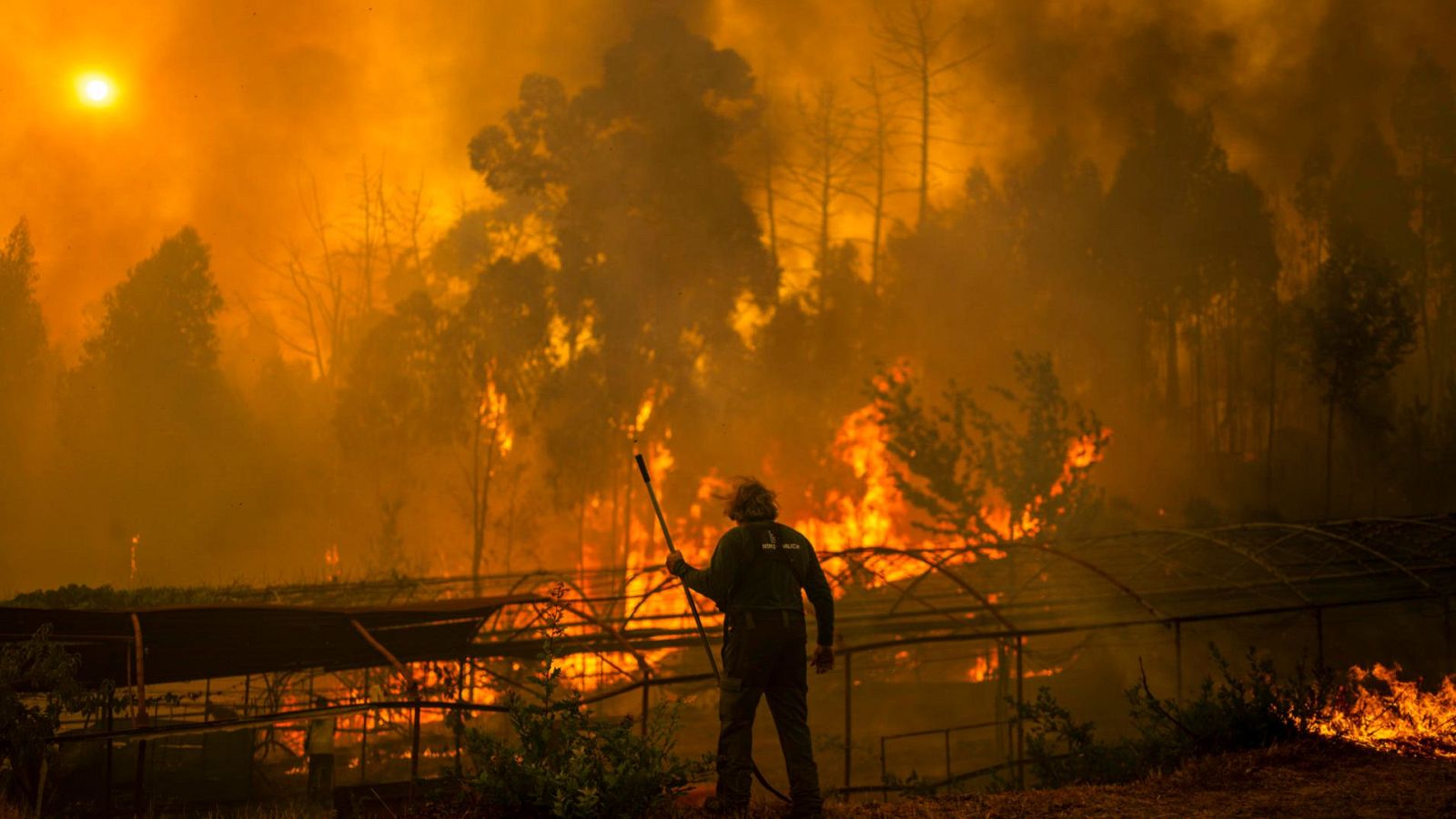 Incendios: 10 días de lucha - Mañaneros 360 | Ver