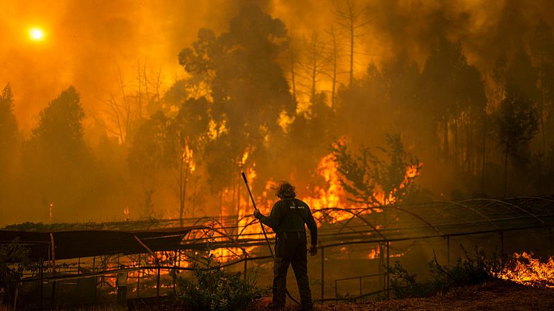 Incendios: 10 días de lucha - Mañaneros 360 | Ver