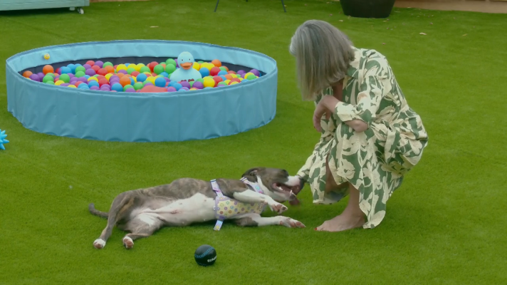 Dog House - Sandra: dudas y conexión