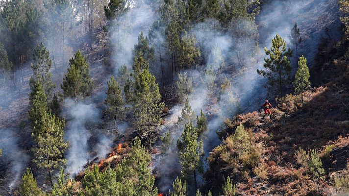 Telediario 1 - Telediario 1 en 4' - 19/08/25