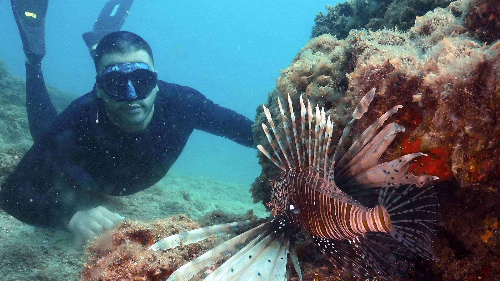 El mar Mediterráneo sigue batiendo récords de temperatura | Ver