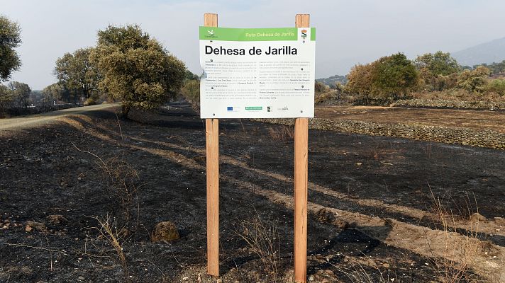 La tarde en 24h - La alcaldesa de Jerte, preocupada por el avance del fuego hacia las fincas de cerezas