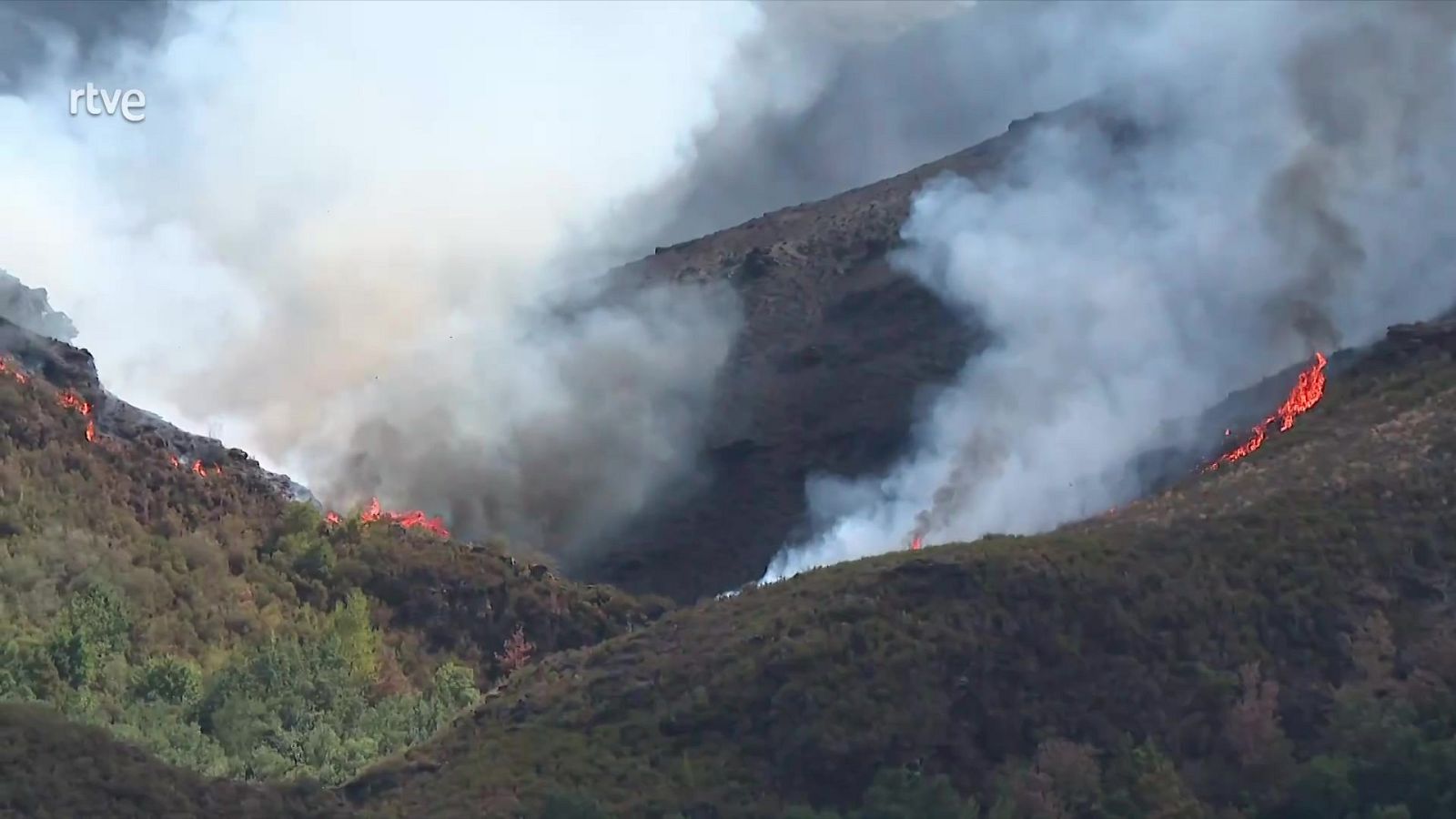 Informativo 24 horas - 20h - 19/08/25 - Informativo 24h | Ver