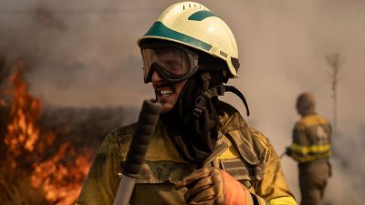 El viento vuelve a complicar la extinci�n en Castilla y Le�n | Ver