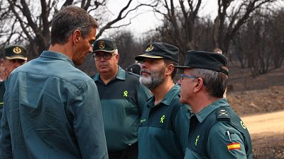 El Gobierno declarar� zona catastr�fica las zonas afectadas por los incendios