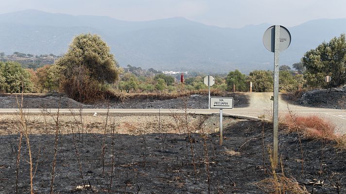 Telediario 2 - Los vecinos protegen los cerezos de Jerte, en Extremadura